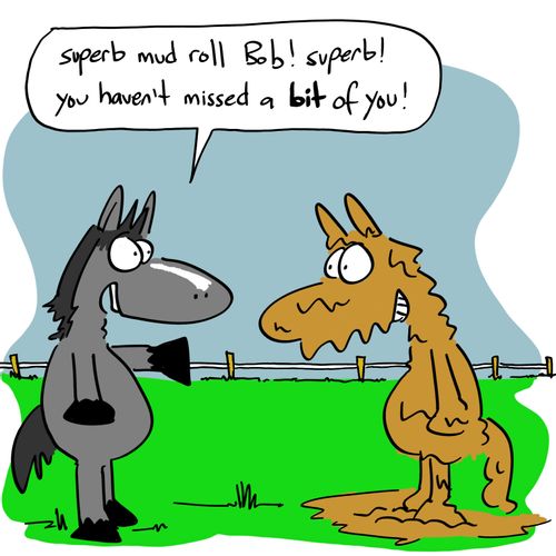 'Superb mud roll Bob! superb! you haven't missed a bit of you!'