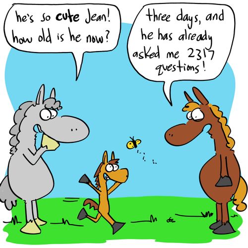 'He's so cute Jean! How old is he now?'