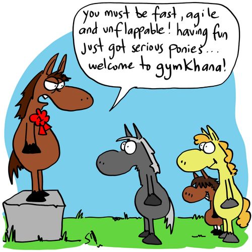 'You must be fast, agile and unflappable! Having fun just got serious ponies....welcome to gymkhana!