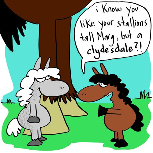 'I know you like your stallions tall Mary, but a clydesdale?'