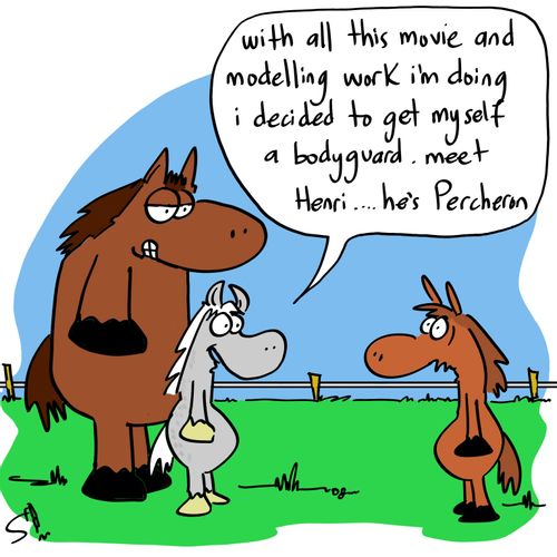 'With all this movie and modelling work I'm doing I decided to get myself a bodyguard. Meet Henri.....he's Percheron.'