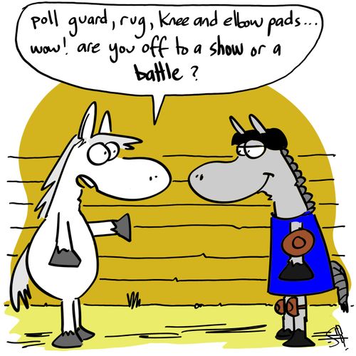'Poll guard, rug, knee and elbow pads...wow! Are you off to a show or a battle?'
