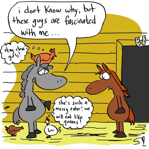 'I don't know why but these guys are fascinated with me...'