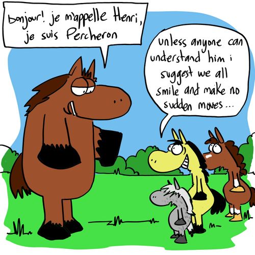 'Bonjour, je m'appelle Henri, je suis Percheron.'