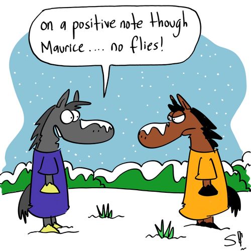 'On a positive note though Maurice...no flies!'
