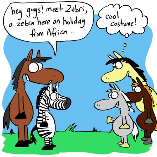 'Hey guys! Meet Zubri, a zebra here on holiday from Africa...'