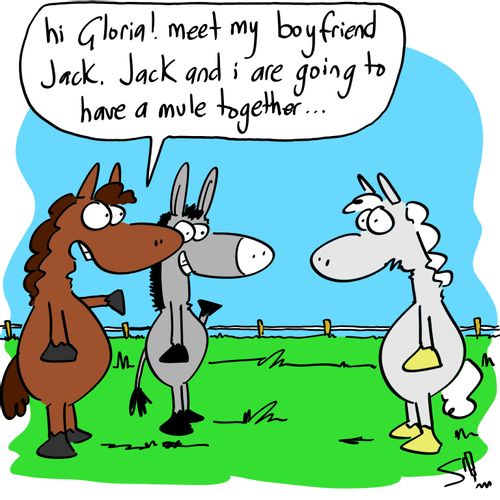 'Hi Gloria! Meet my boyfriend Jack. Jack and I are going to have a mule together...'