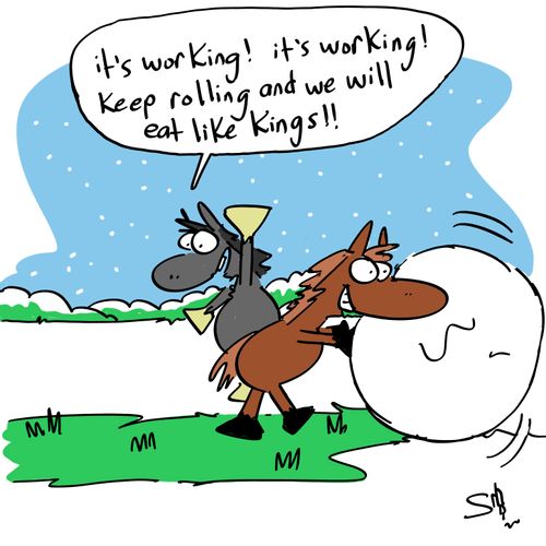 'It's working! It's working! Keep rolling and we will eat like kings!!'
