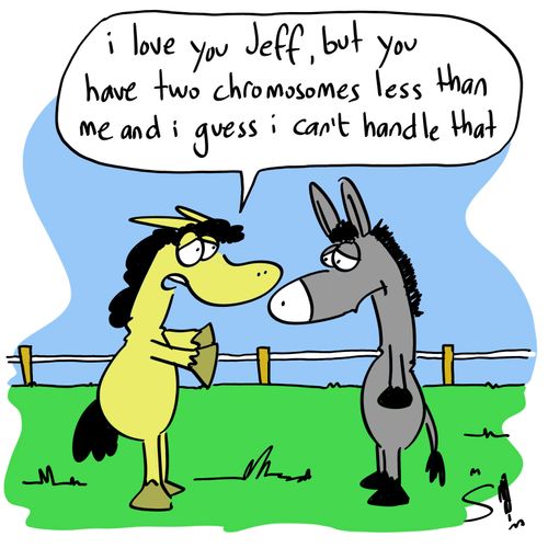 'I love you Jeff, but you have two chromosomes less than me and I guess I can't handle that'