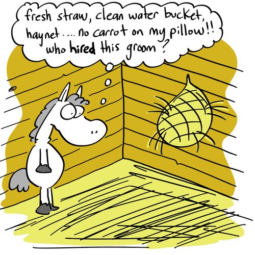 'Fresh straw, clean water bucket, haynet...no carrot on my pillow!! Who hired this groom?'
