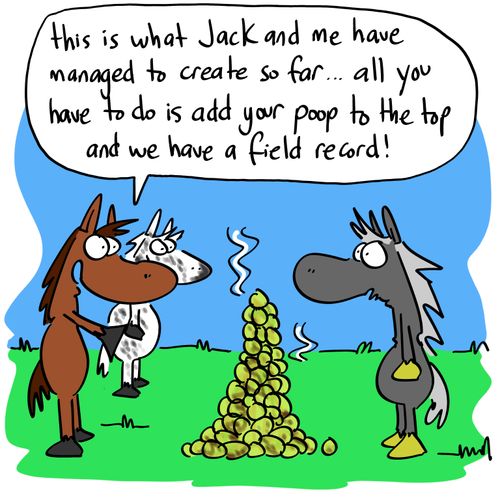 'This is what Jack and me have managed to create so far...all you have to do is add your poop to the top and we have a field record!'