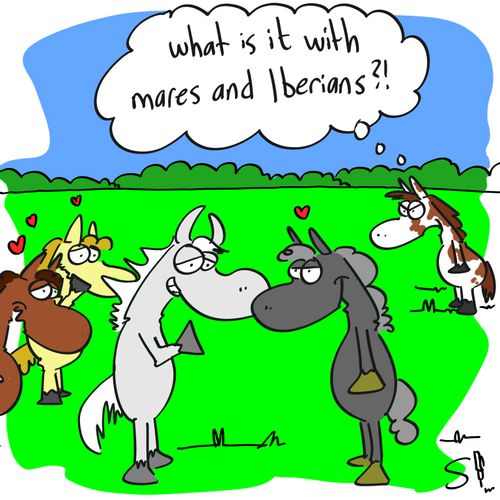'What is it with mares and Iberians?!'