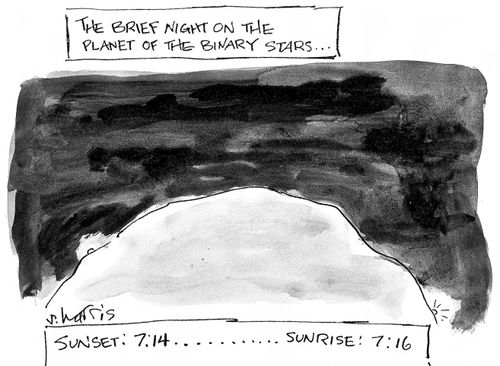 The brief night on the planet of the binary stars...