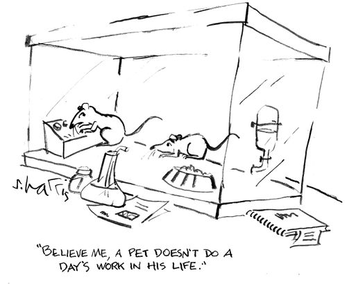 'Believe me, a pet doesn't do a day's work in his life.'