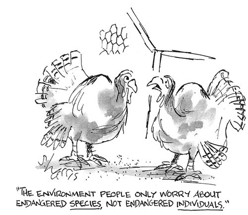 'The environment people only worry about endangered species, not endangered individuals.'