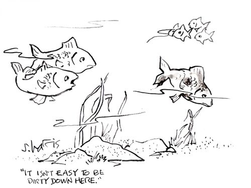 'It isn't easy to be dirty down here.'