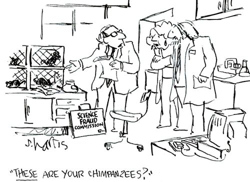 'These are your chimpanzees?'