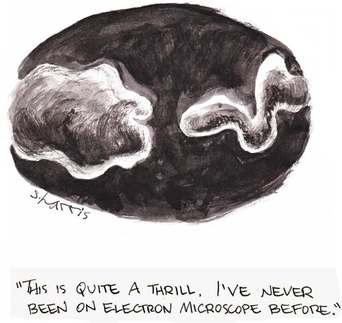 'This is quite a thrill. I've never been on electron microscope before.'