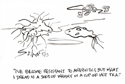 'I've become resistant to antibiotics, but what I dread is a shot of whisky in a cup of hot tea.'