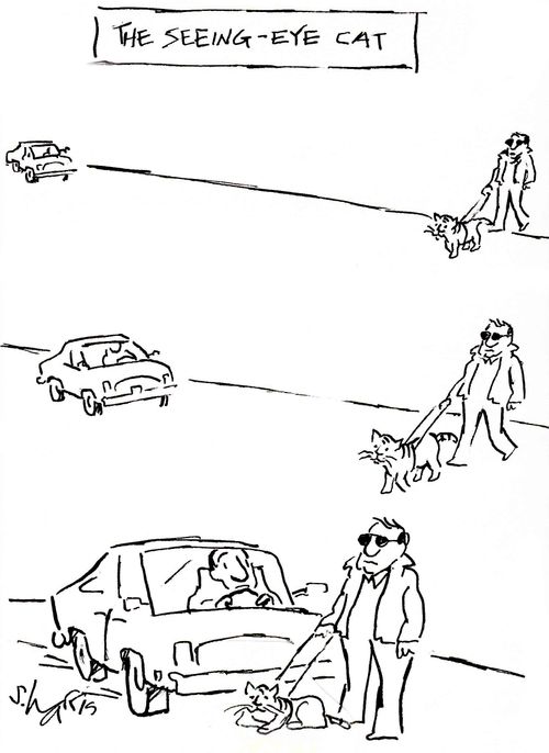The seeing-eye cat.