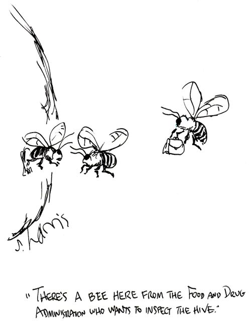 'There's a bee here from the Food and Drug Administration who wants to inspect the hive.'