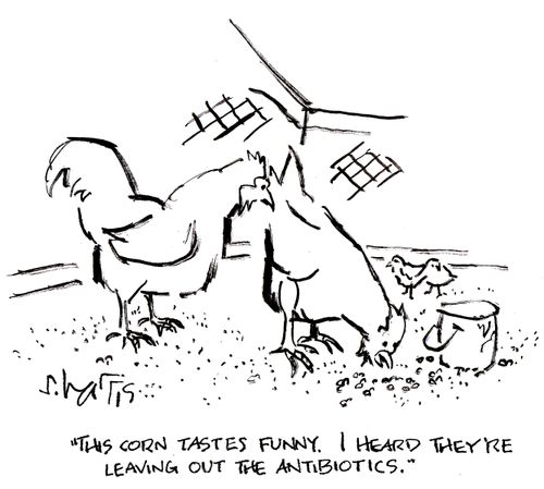 'This corn tastes funny. I heard they're leaving out the antibiotics.'
