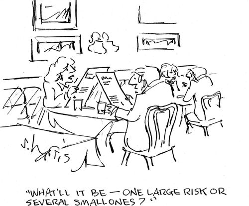 'What'll it be - one large risk or several small ones?'