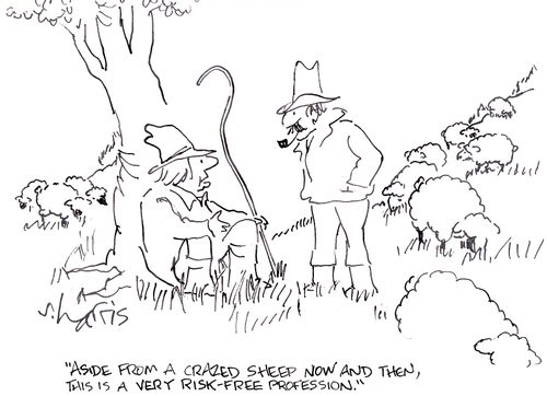 'Aside from a crazed sheep now and then, this is a very risk-free profession.'