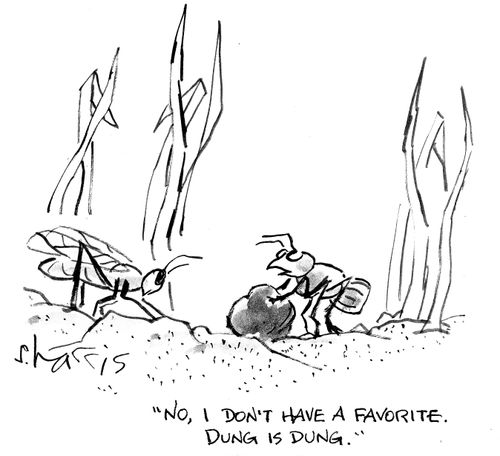 'No, I don't have a favorite. Dung is dung.'