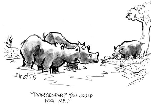 'Transgender? You could fool me.'