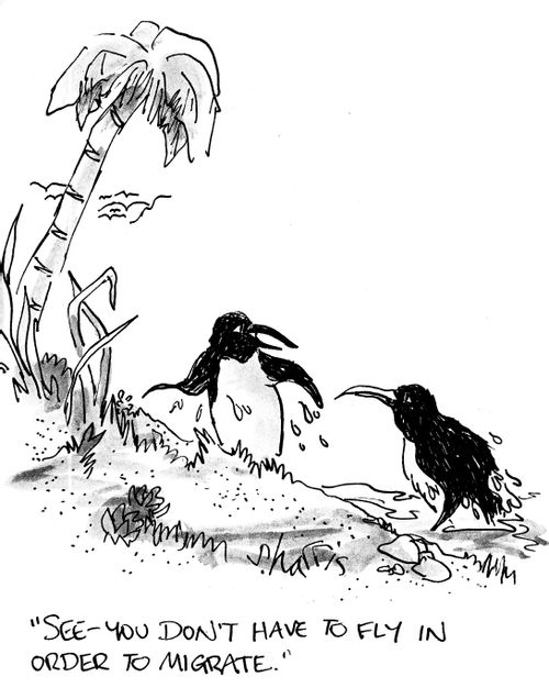 'See - you don't have to fly in order to migrate.'