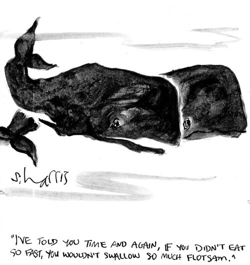 'I've told you time and again, if you didn't east so fast, you wouldn't swallow so much flotsam.'