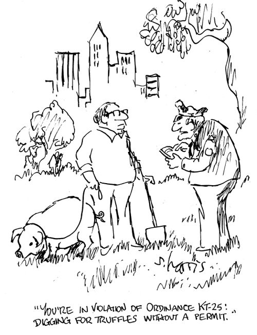 'You're in violation of Ordinance KT-25: digging for truffles without a permit.'
