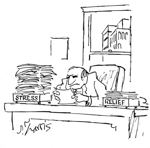 Stress and Relief Desk Organizers.