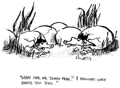 'What are we doing here? I thought only birds do this.'