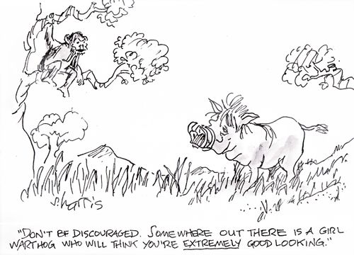 'Don't be discouraged.  Somewhere out there is a girl warthog who will think you're extremely good looking.'
