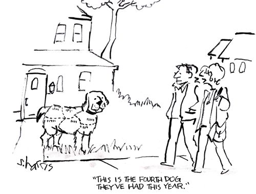 'This is the fourth dog they've had this year.'
