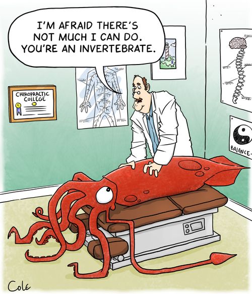 'I'm afraid there's not much I can do. You're an invertebrate.'
