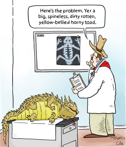 'Here's the problem. Yer a big, spineless, dirty rotten, yellow-bellied horny toad.'