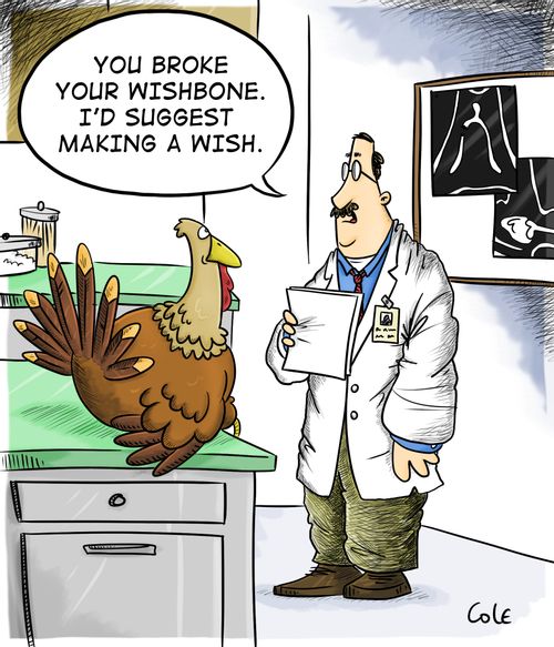 'You broke your wishbone. I'd suggest making a wish.'