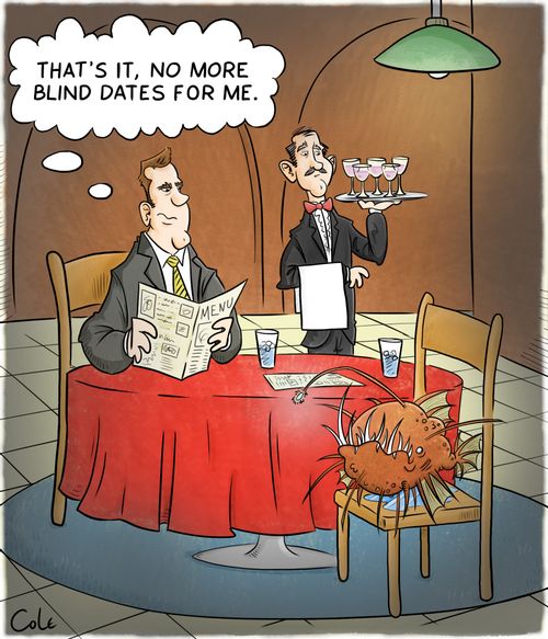 'That's it, no more blind dates for me.'