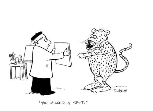 'You missed a spot.'