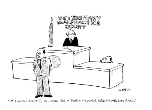 'My client, Skippy, is suing for a twenty-ounce sirloin, medium-rare.'