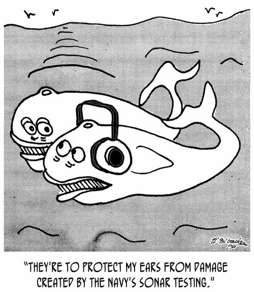 'They're to protect my ears from damage created by the Navy's sonar testing.'