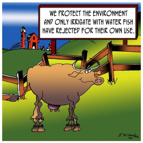 'We protect the environment and only irrigate with water fish have rejected for their own use.'