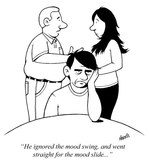 'He ignored the mood swing, and went straight for the mood slide...'