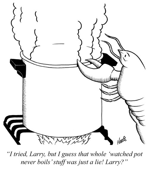 'I tried, Larry, but I guess that whole 'watched pot never boils' stuff was just a lie! Larry?'