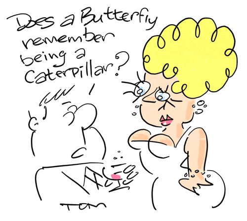'Does a butterfly remember being a caterpillar?'