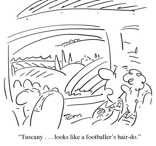 'Tuscany . . . looks like a footballer's hair-do.'
