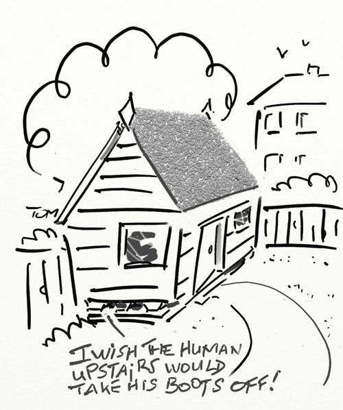 'I wish the human upstairs would take his boots off!'